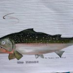 Green Trout Acrylic On Wallpaper